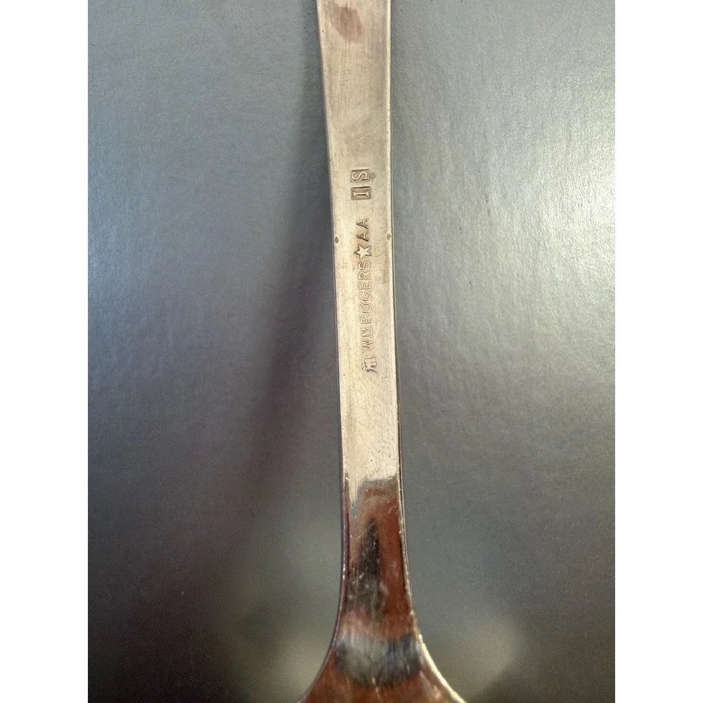 Wm. Rogers Memory Pattern Silverplate Gravy Ladle